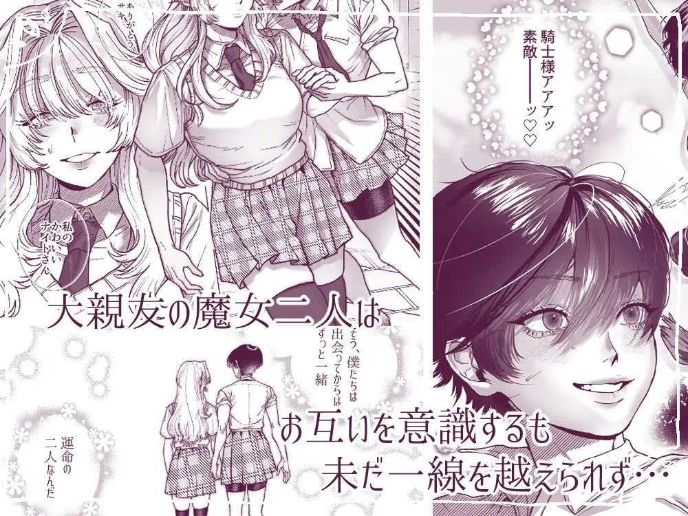 麗しの姫君♂は気高き騎士♀を溺愛したい の試し読み画像1